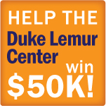 Help Duke Lemur Center Win $50k from Pepsi Refresh